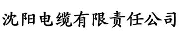 lu先生ios二维码电缆厂logo